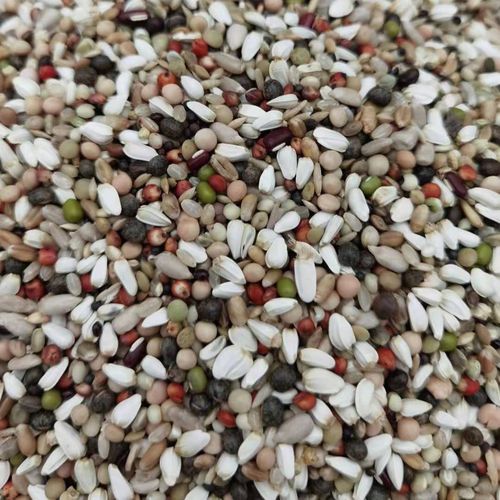 种鸽喂养幼鸽的饲料是什么-第3张图片-宁夏农业信息网