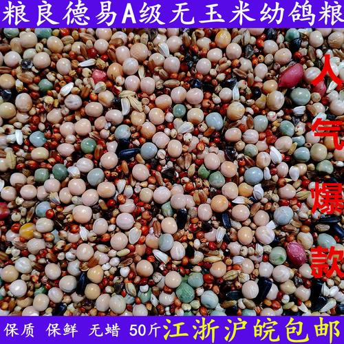 种鸽喂养幼鸽的饲料是什么-第1张图片-宁夏农业信息网