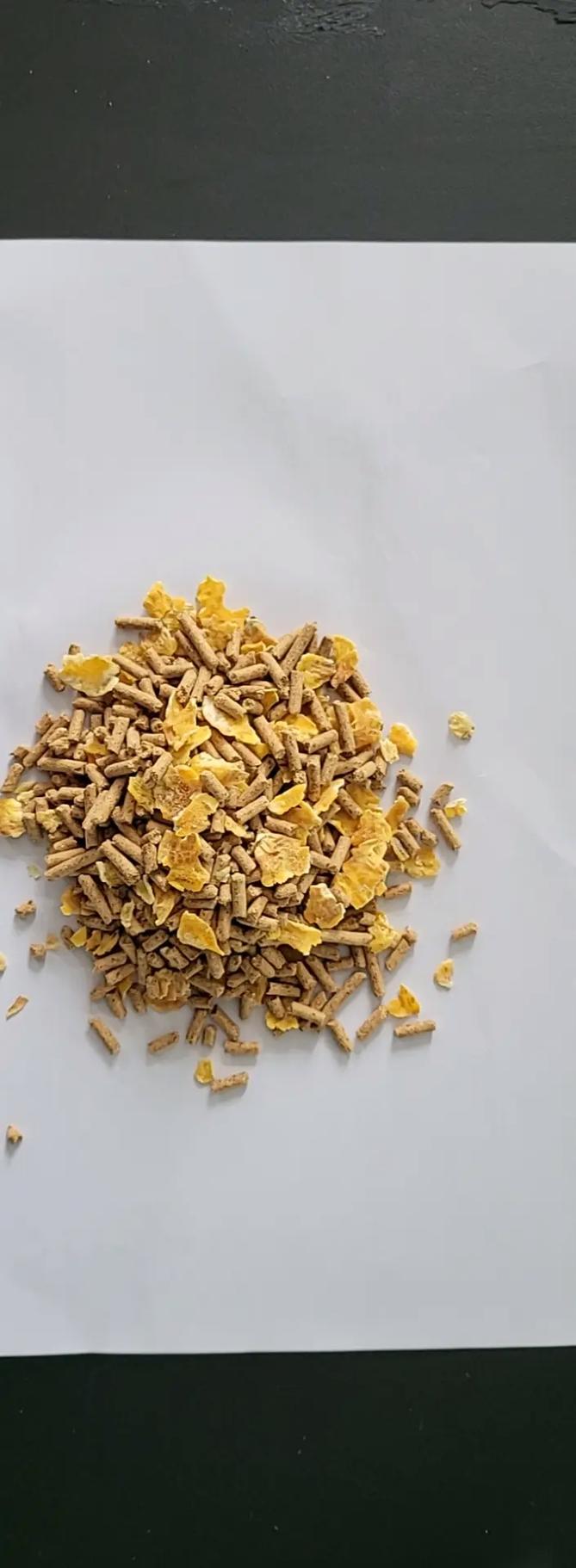 农村养牛用什么饲料-第2张图片-宁夏农业信息网