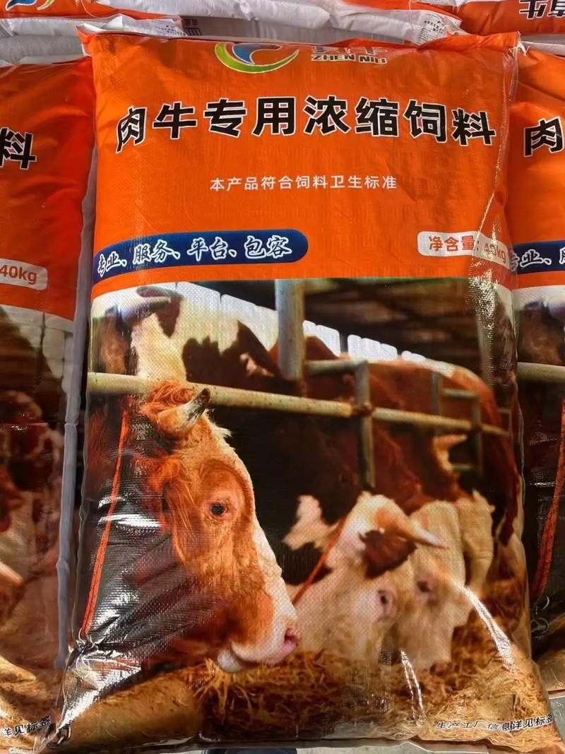 农村养牛用什么饲料-第3张图片-宁夏农业信息网