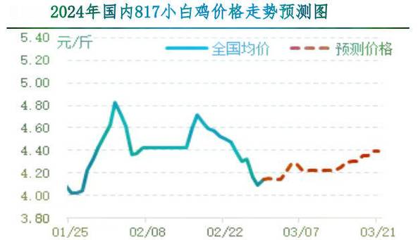 肉鸡现在价格是多少-第3张图片-宁夏农业信息网