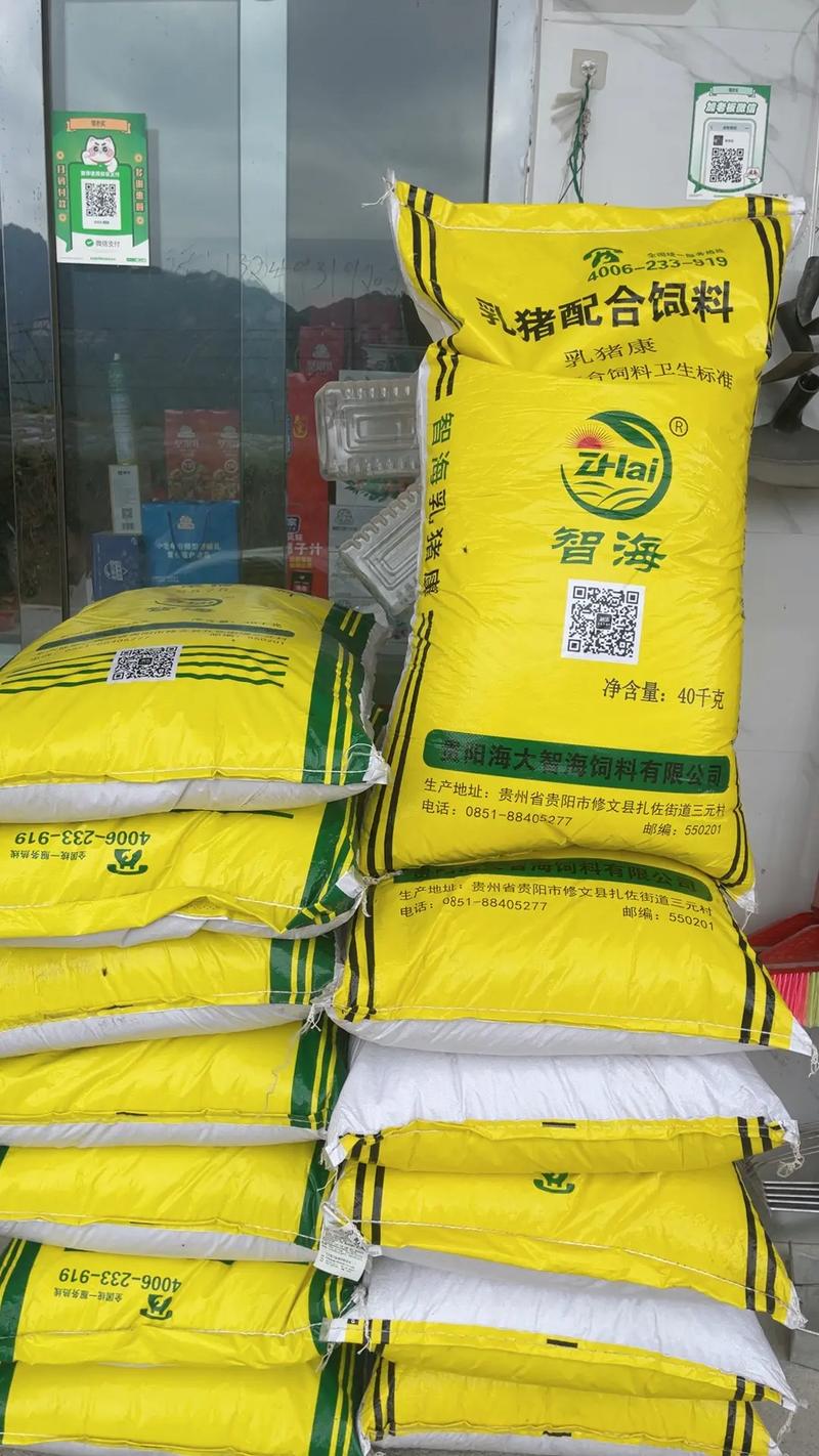 猪吃什么青饲料最好-第3张图片-宁夏农业信息网