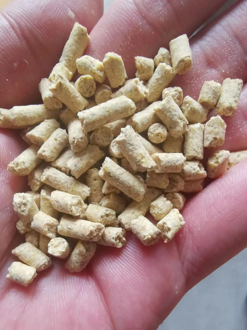 猪一般吃什么饲料-第1张图片-宁夏农业信息网