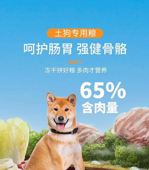 养土狗吃什么饲料-第1张图片-宁夏农业信息网 养土狗吃什么饲料-第1张图片-宁夏农业信息网