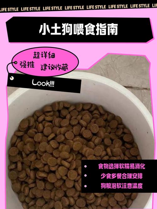 养土狗吃什么饲料-第3张图片-宁夏农业信息网