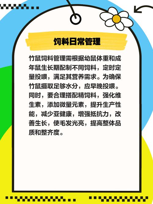 竹鼠毛皮价格多少-第3张图片-宁夏农业信息网