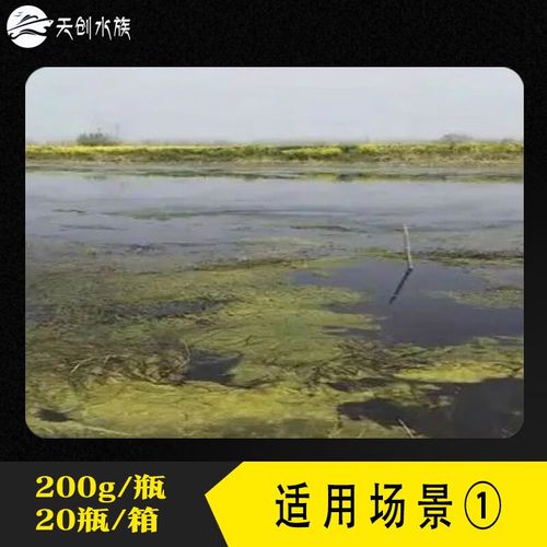 水产养殖杀绿藻用什么好-第3张图片-宁夏农业信息网