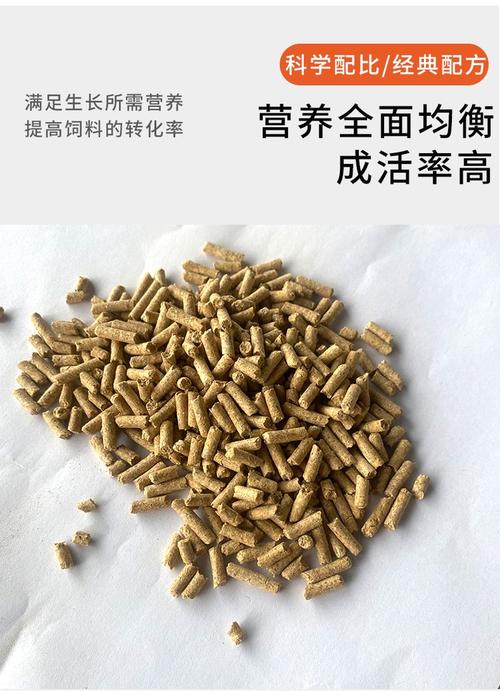 小山羊喂些什么饲料-第2张图片-宁夏农业信息网 小山羊喂些什么饲料-第2张图片-宁夏农业信息网