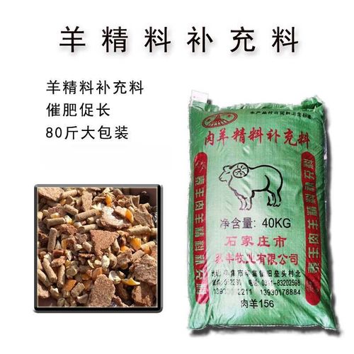 母羊喂什么饲料-第2张图片-宁夏农业信息网