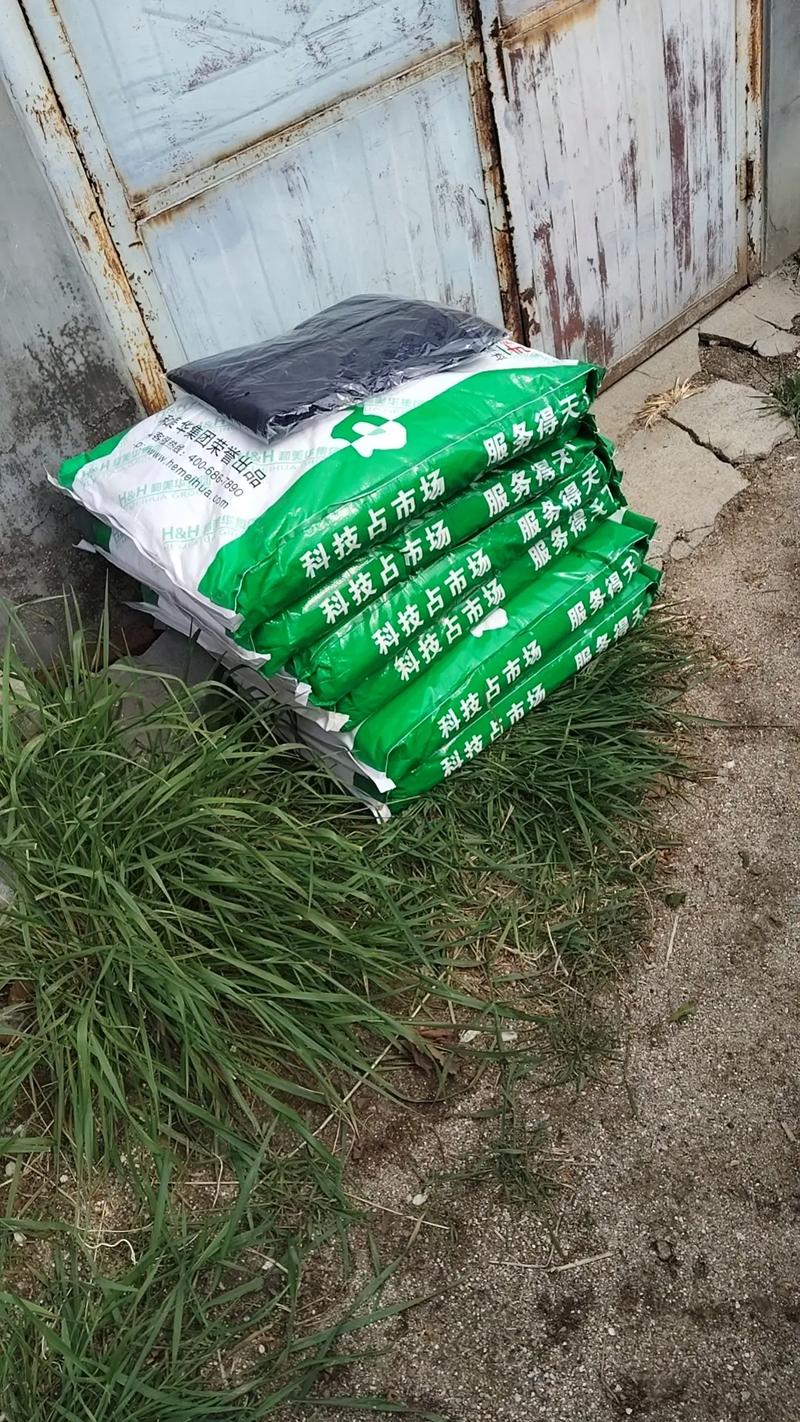 母羊喂什么饲料-第3张图片-宁夏农业信息网