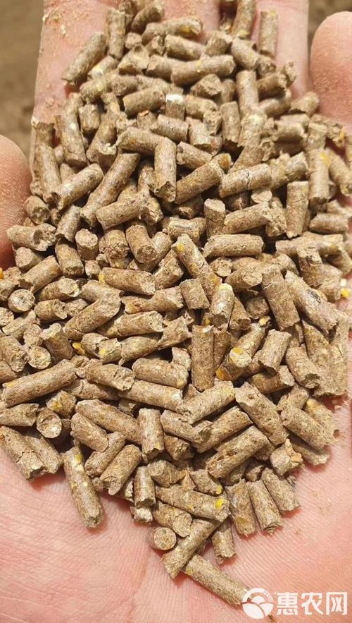 2天的鹅吃什么饲料好-第3张图片-宁夏农业信息网 2天的鹅吃什么饲料好-第3张图片-宁夏农业信息网