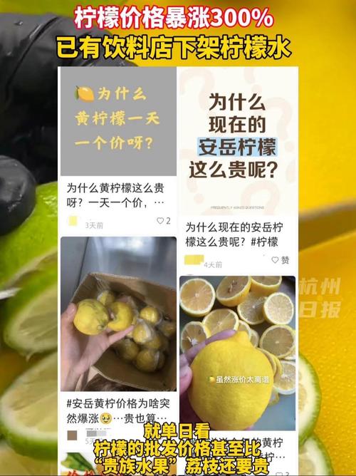 柠檬每斤价格是多少-第2张图片-宁夏农业信息网