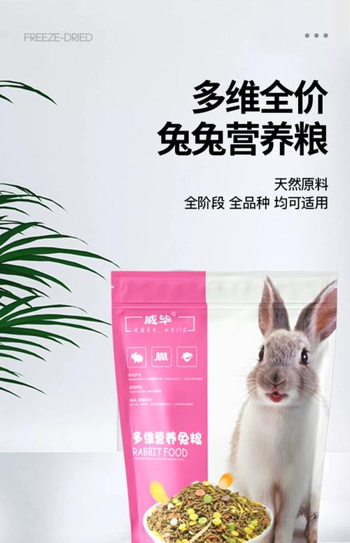小兔子吃什么饲料-第2张图片-宁夏农业信息网 小兔子吃什么饲料-第2张图片-宁夏农业信息网