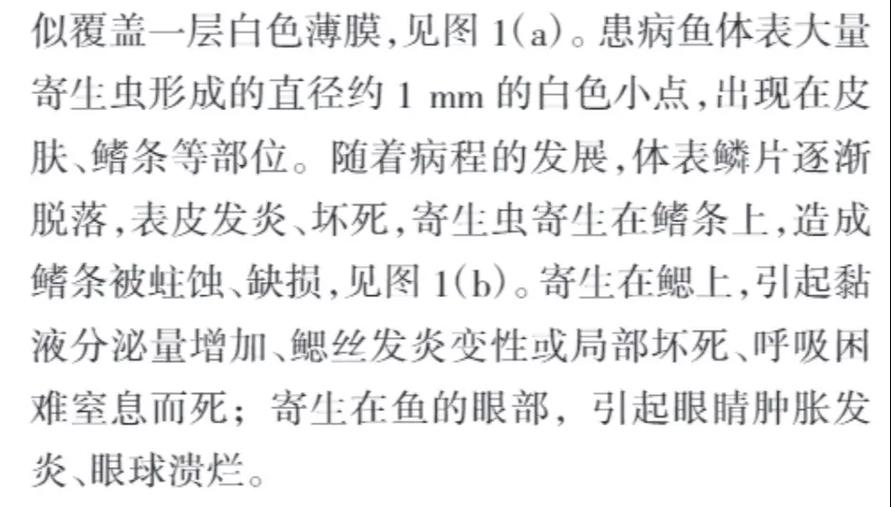 淡水养殖红体白斑是什么病-第3张图片-宁夏农业信息网