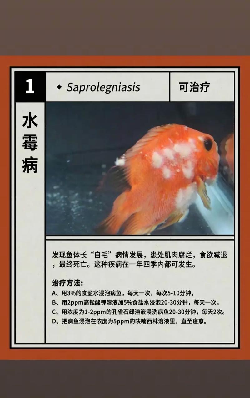 淡水养殖红体白斑是什么病-第2张图片-宁夏农业信息网