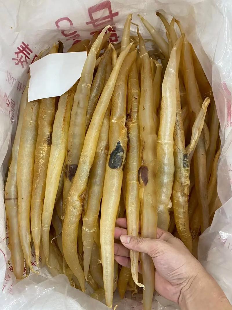 鳗鱼养殖一般都用什么水产药-第1张图片-宁夏农业信息网