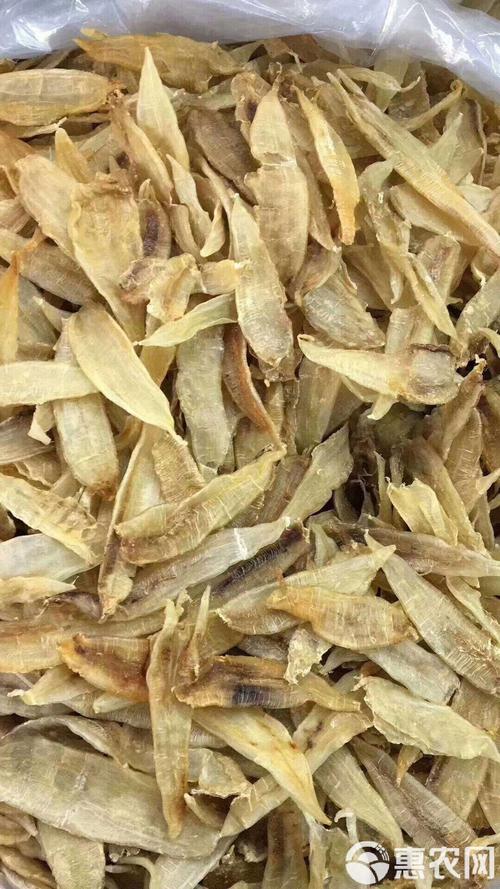 鳗鱼养殖一般都用什么水产药-第2张图片-宁夏农业信息网