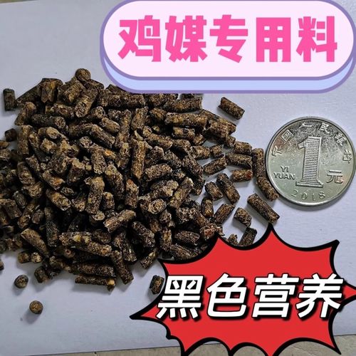 小山鸡什么时间断饲料-第3张图片-宁夏农业信息网