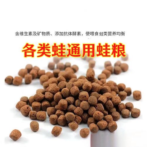 喂蝌蚪用什么饲料-第2张图片-宁夏农业信息网