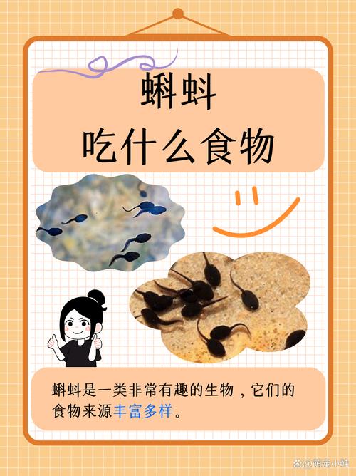 喂蝌蚪用什么饲料-第3张图片-宁夏农业信息网