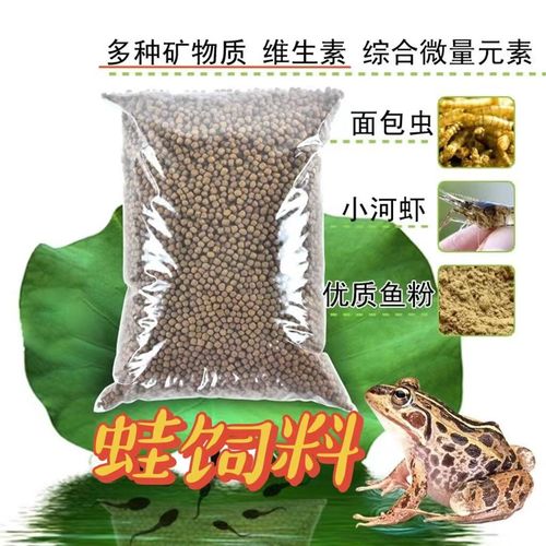 喂蝌蚪用什么饲料-第1张图片-宁夏农业信息网