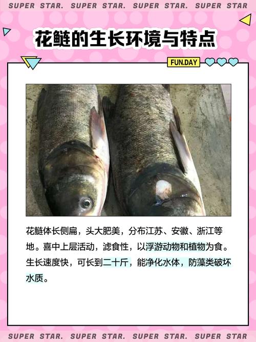 花鲢吃什么饲料吗-第2张图片-宁夏农业信息网