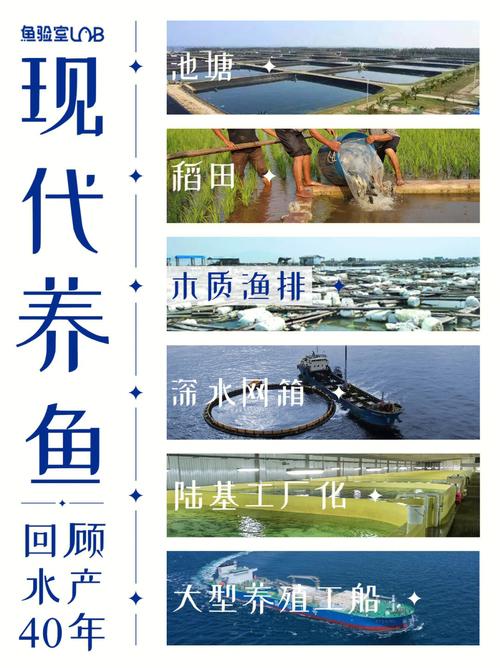 养鱼的养殖户需求点是什么-第2张图片-宁夏农业信息网