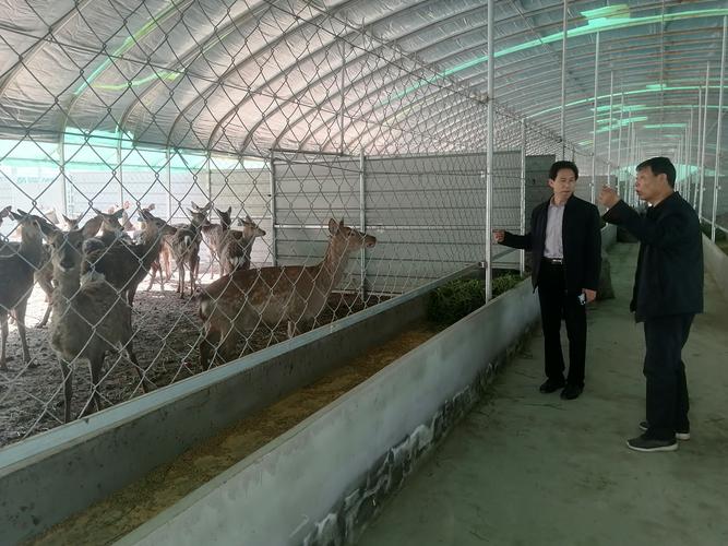 陕西商南养殖什么好-第1张图片-宁夏农业信息网