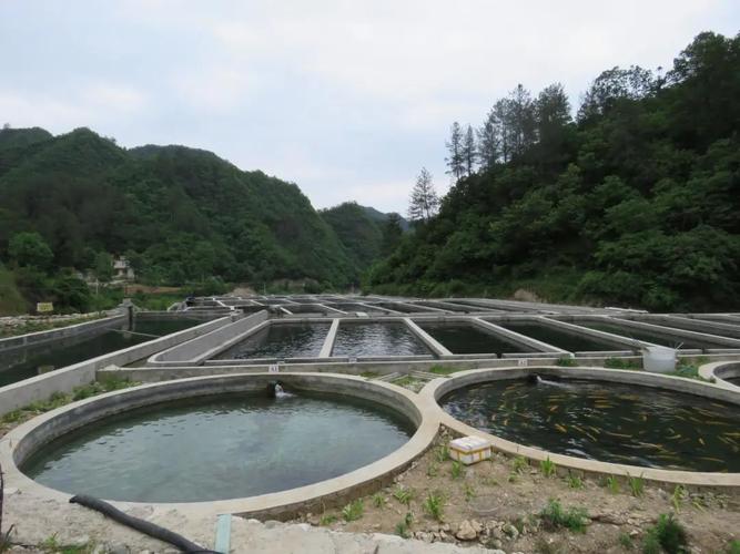 陕西商南养殖什么好-第3张图片-宁夏农业信息网