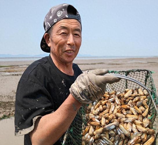 蛏池塘养殖什么鱼最赚钱最快-第3张图片-宁夏农业信息网