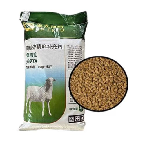 羊一般吃什么饲料-第2张图片-宁夏农业信息网