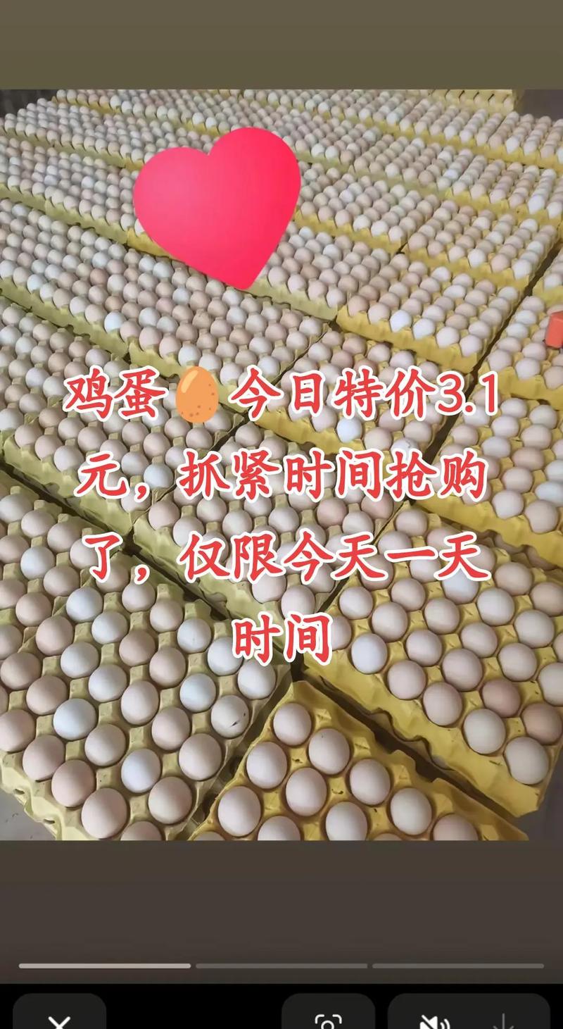 明天广东鸡蛋价格多少-第1张图片-宁夏农业信息网