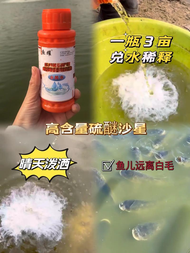 硫醚沙星在水产养殖具体有何作用？-第2张图片-宁夏农业信息网