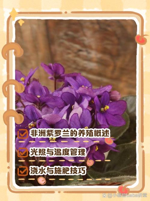 紫罗兰花怎么养？图片养殖方法详解-第3张图片-宁夏农业信息网