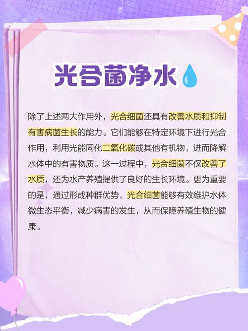 光合细菌如何助力水产养殖增产提质?-第3张图片-宁夏农业信息网 光合细菌如何助力水产养殖增产提质?-第3张图片-宁夏农业信息网