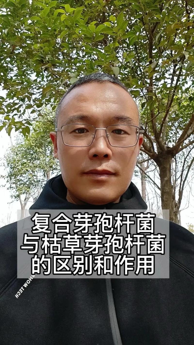 芽孢杆菌如何助力水产养殖提质增效？-第1张图片-宁夏农业信息网