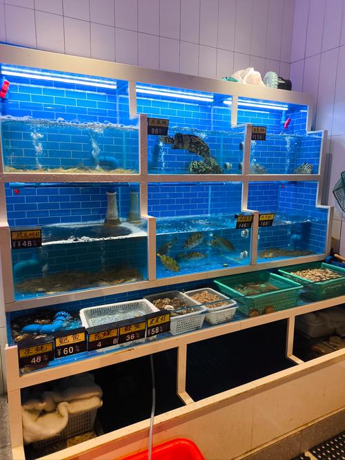 水产2473291Z空间是什么？-第1张图片-宁夏农业信息网