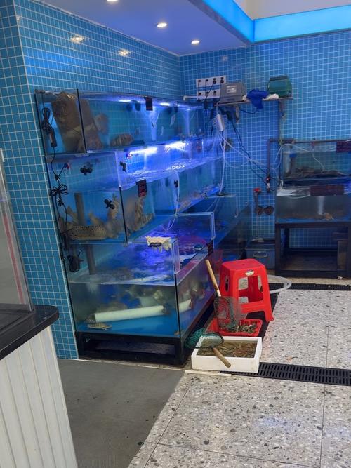 水产2473291Z空间是什么？-第2张图片-宁夏农业信息网