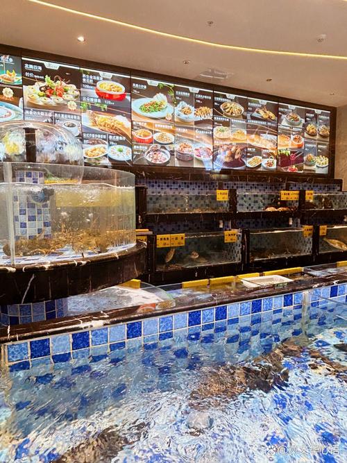 水产2473291Z空间是什么？-第3张图片-宁夏农业信息网