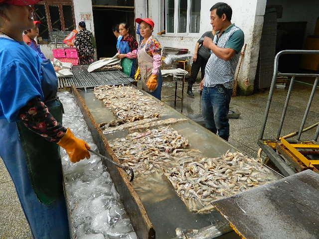 宁波海川水产饲料有何特色优势？-第3张图片-宁夏农业信息网