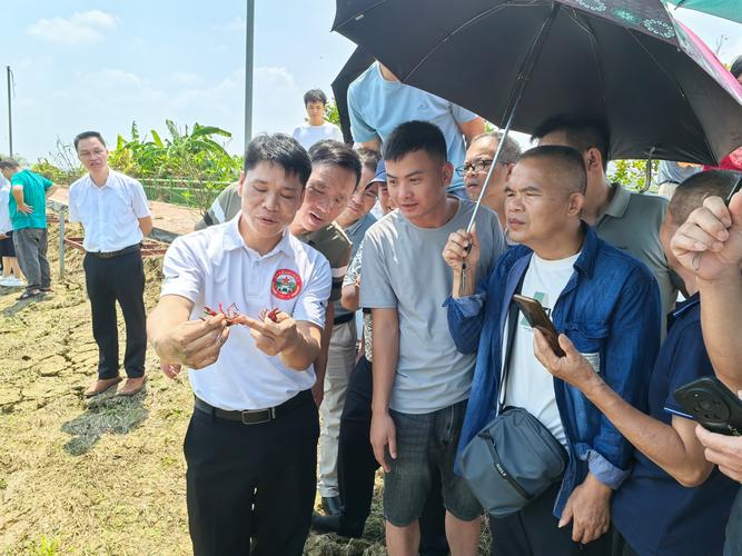 南宁市西乡塘区水产畜牧局职能是什么？-第2张图片-宁夏农业信息网