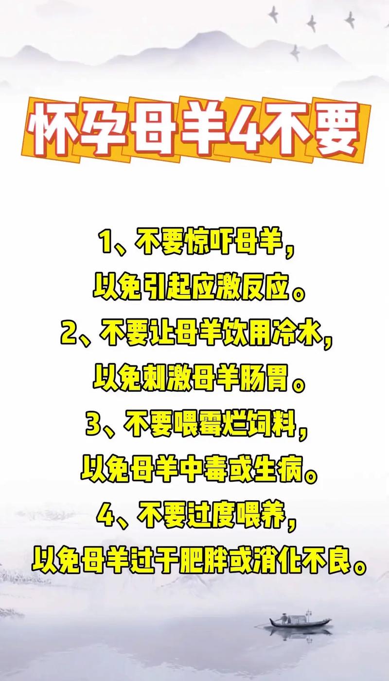 科学养羊，圈内如何高效管理？-第3张图片-宁夏农业信息网