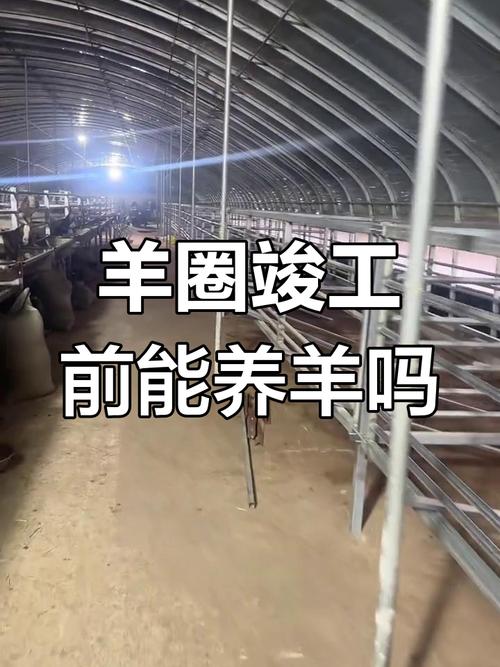 科学养羊，圈内如何高效管理？-第2张图片-宁夏农业信息网