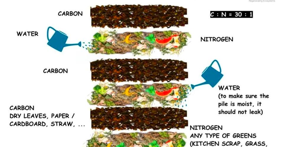水产养殖有机肥怎么制作才高效？-第2张图片-宁夏农业信息网
