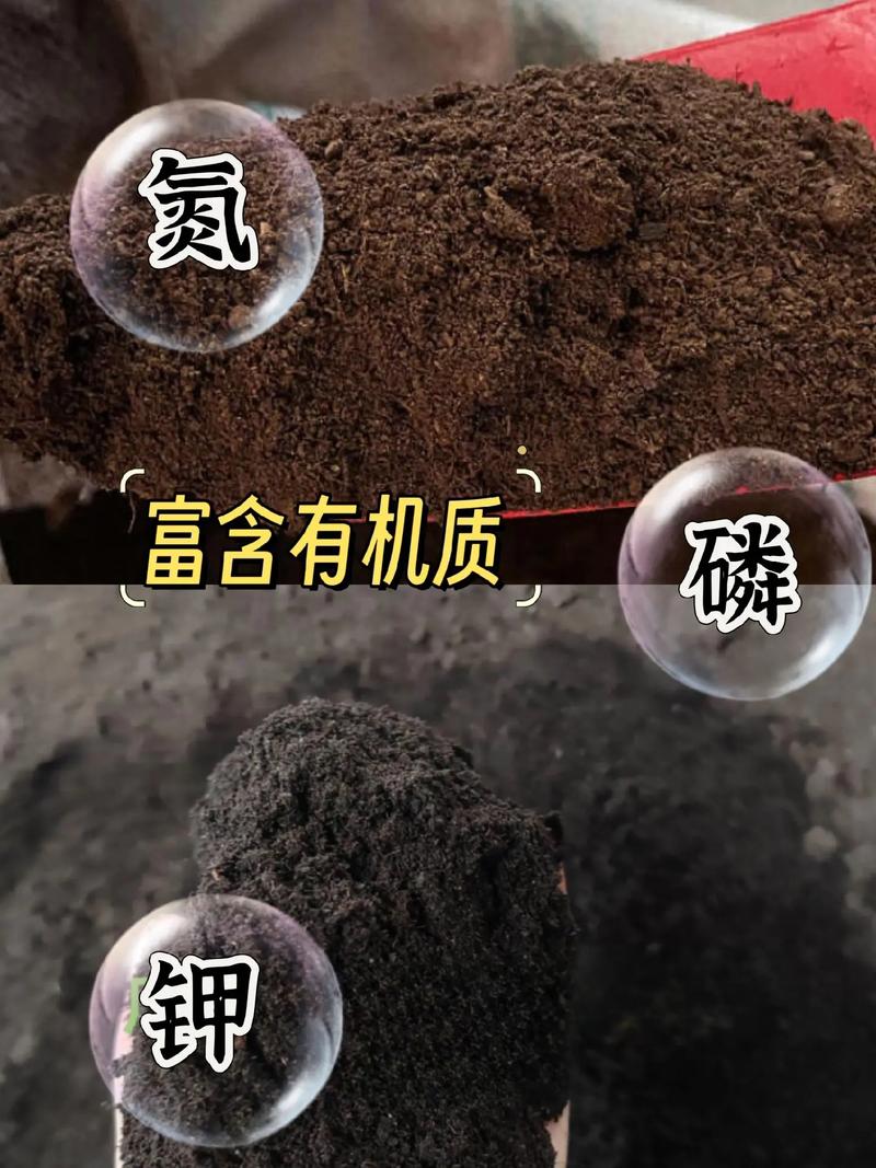 水产养殖有机肥怎么制作才高效？-第3张图片-宁夏农业信息网