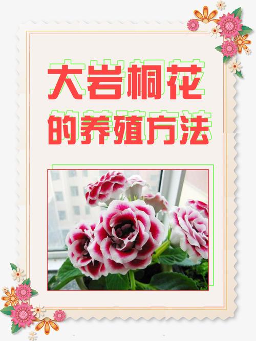 梧桐树怎么养？附图片方法详解-第2张图片-宁夏农业信息网