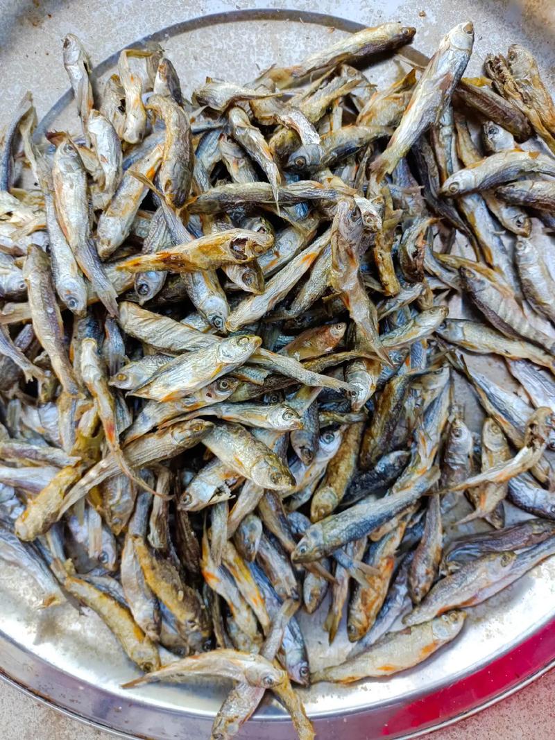 湖南鲶鱼干，中国水产的独特风味？-第3张图片-宁夏农业信息网