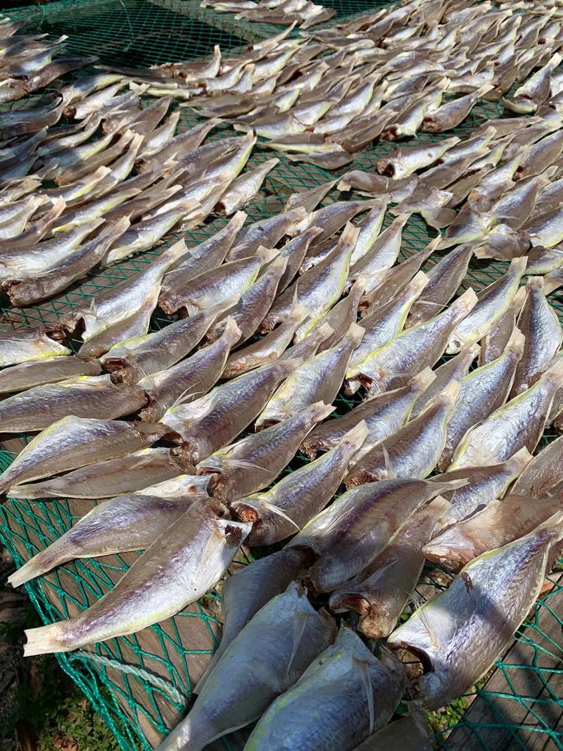 湖南鲶鱼干，中国水产的独特风味？-第2张图片-宁夏农业信息网