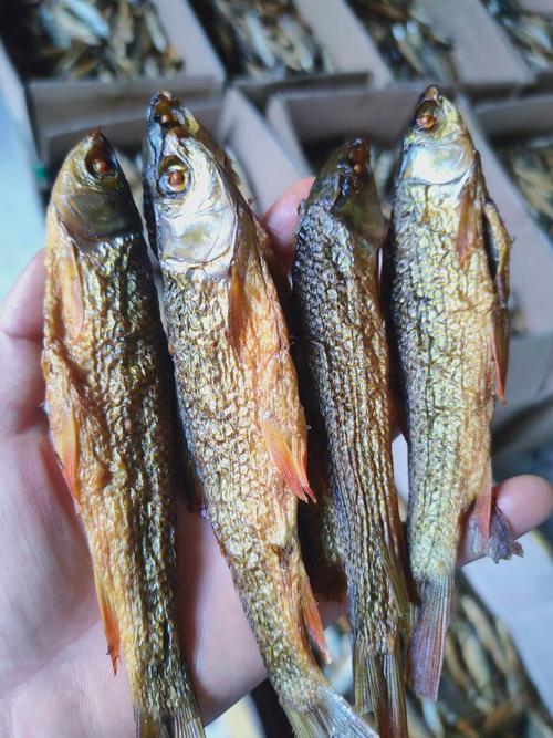 湖南鲶鱼干，中国水产的独特风味？-第1张图片-宁夏农业信息网