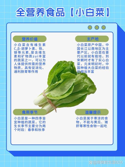 小白菜品种到底有多少?-第2张图片-宁夏农业信息网 小白菜品种到底有多少?-第2张图片-宁夏农业信息网